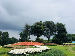 -保利石象湖景区