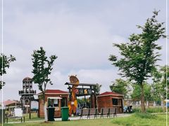 -上海长兴岛郊野公园