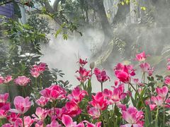 -刘伯温故里景区百丈漈