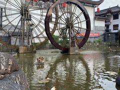 -巴人堂(女儿城店)