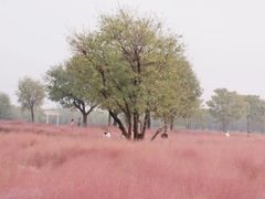 -汉长安城未央宫国家考古遗址公园