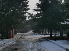 -北陵公园