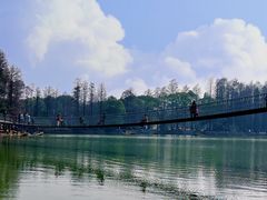 -东湖落雁景区