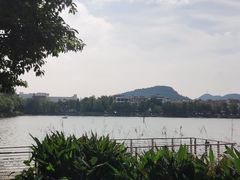 -顺峰山公园