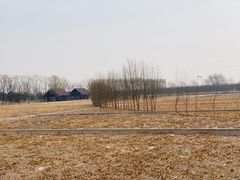 -永定河休闲森林公园