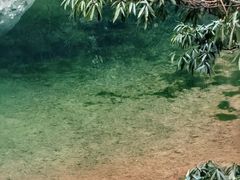 -龙湾潭国家森林公园