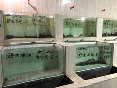 -海盗餐厅