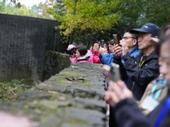 -都江堰中华大熊猫苑