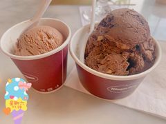 -哈根达斯(上海金山店)