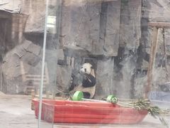 -栾川竹海野生动物园