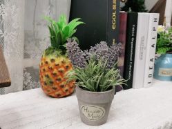 -莫奈庄园·儿童摄影馆·影视基地(江宁店)