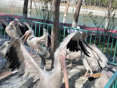 -水上乐园·欢乐世界