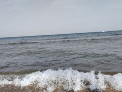 -渡海小渔村.老辈日照菜