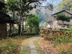 -杭州植物园