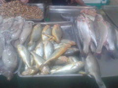 iphone_upload_pic-金沙滩海鲜餐厅(梅江龙水园店)