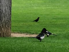 -中华世纪坛-停车场