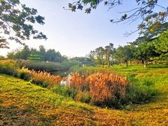 -福田红树林生态公园