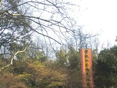 -杭州黄龙洞
