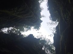 -梭布垭石林景区