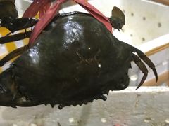 -海峡水产品交易中心(海鲜交易区)