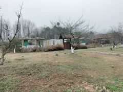 -桤木河湿地公园