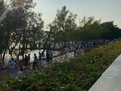 -宝安西湾红树林湿地公园