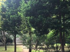 -青岛崂山太清宫