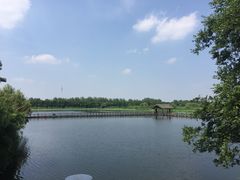 -溱湖国家湿地公园