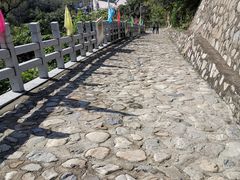 -大岭沟猕猴桃谷风景区