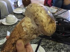 -蘑统田下·野生菌火锅