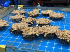 -三亚火车头万人海鲜广场