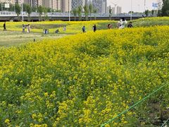 -长白岛森林公园