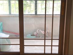 -福州肆爪动物医院