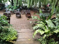 -Fern Forest Cafe