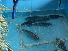 -金明姬铁锅炖(东坝店)