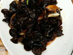 -龙达温泉生态城