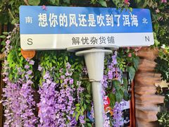 -南诏风情岛