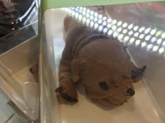 -仟吉KenGee(21世纪店)