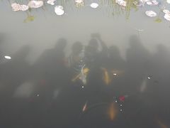 -武清南湖绿博园