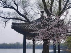 -颐和园