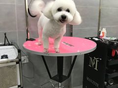 -宠福鑫康馨动物医院·骨科·眼科