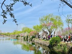 -无锡蠡湖国家湿地公园-蠡园