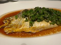 -许家菜.艺创菜(仁和新城店)