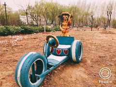 -顺鑫绿色度假村