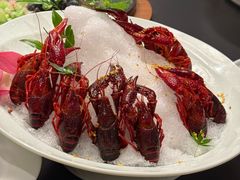 -十八棵（老龙井）御茶园(老龙井店)