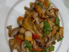 炒螺片-双井轩(双井店)