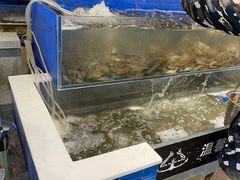-圣罗巴海鲜自助(黑金店)