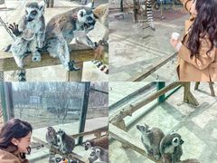 -水上乐园·欢乐世界