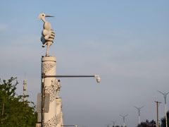 -丁香湖公园