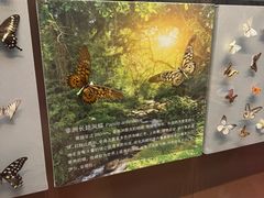 -天津自然博物馆